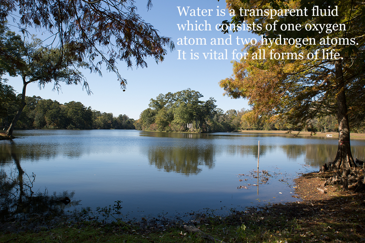 Photography Text Project 2