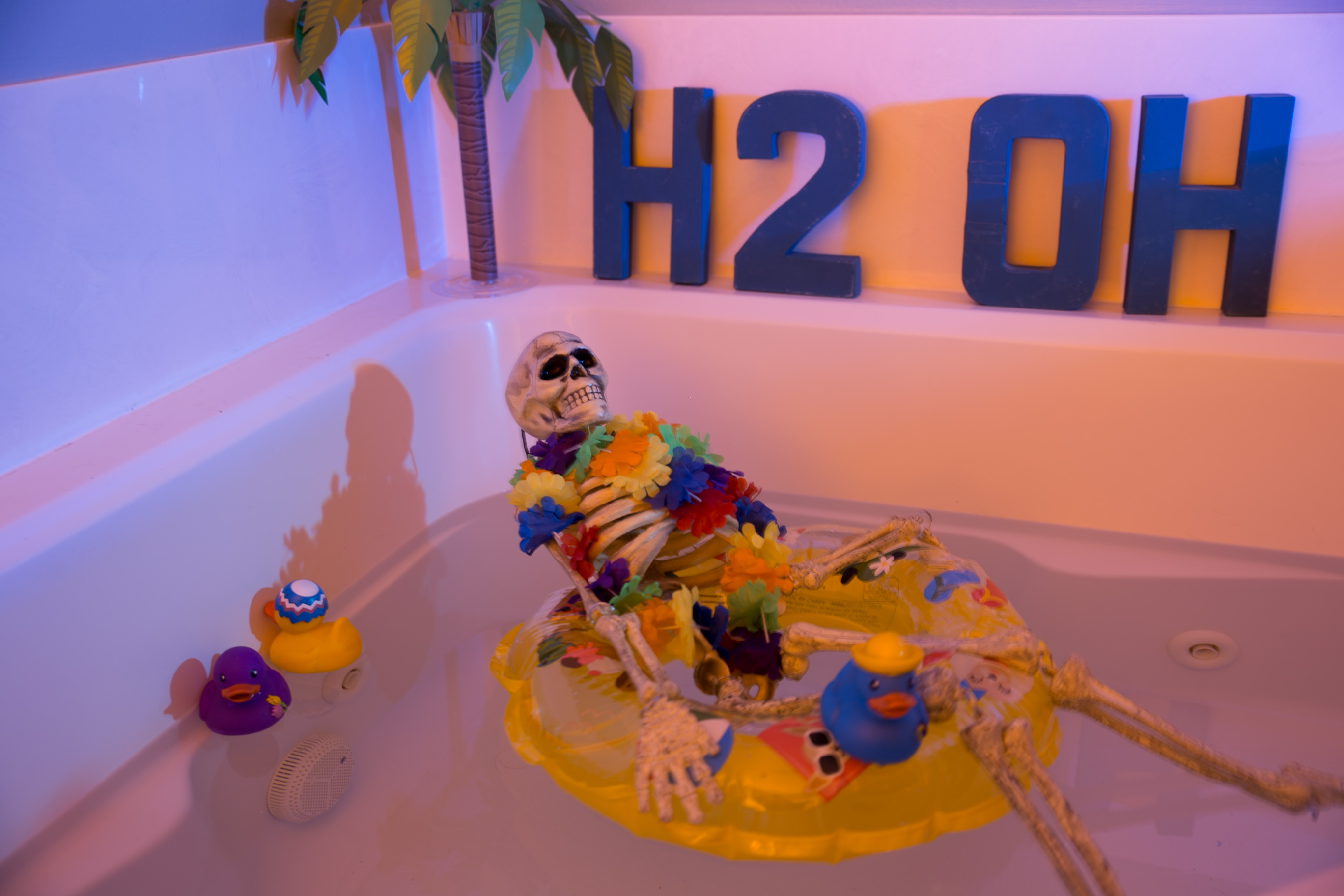 Photography Skeleton in Water